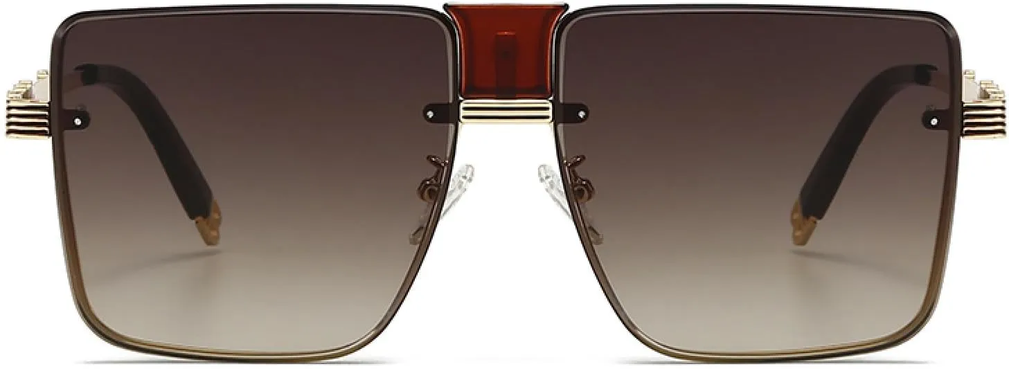 Modern Retro Frame Sunglasses Style Street Style Sunglasses