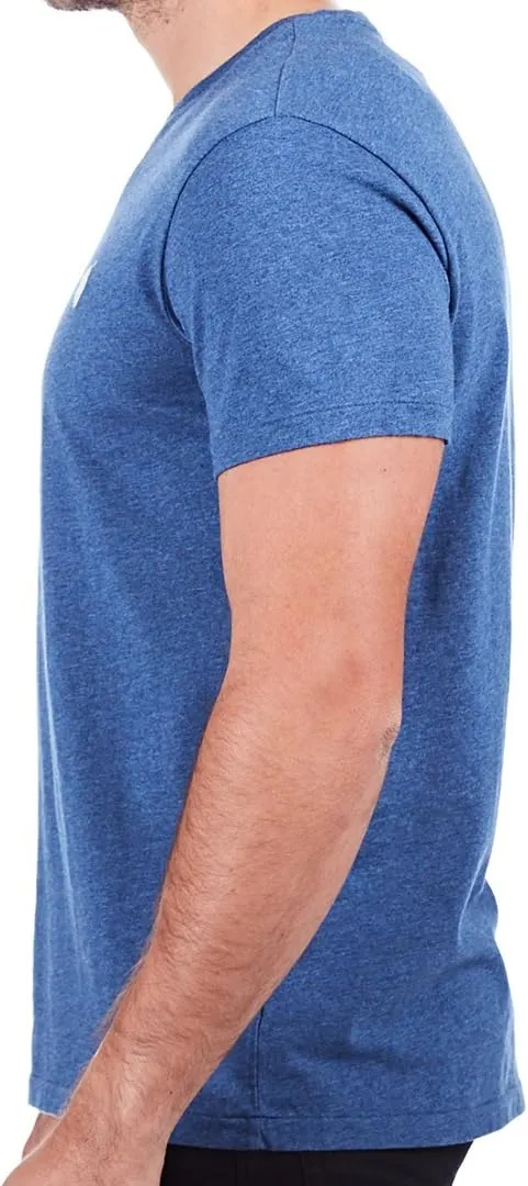 Polo RL Men's Classic Fit V-Neck T-Shirt