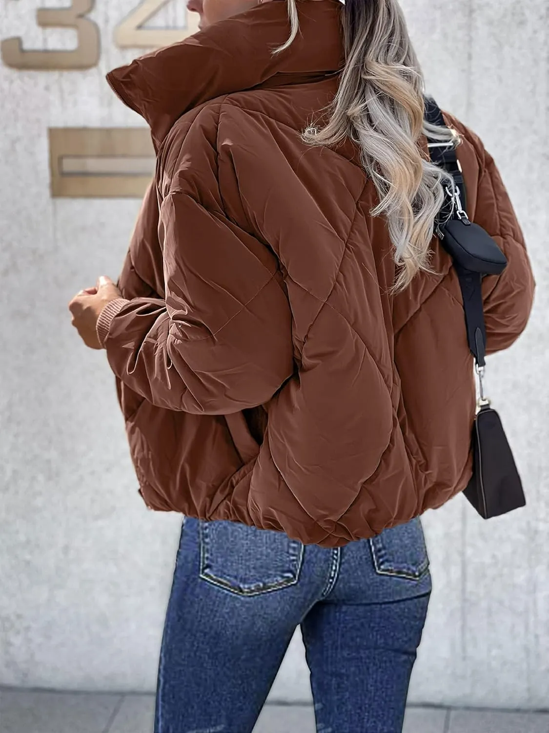 Women's Long Sleeve Zip Up Puffer Jackets Winter Quilted Short Down Coats with Pockets